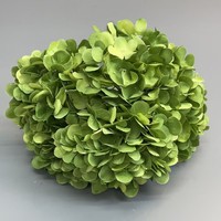 Fleurs d'hortensia artificielles BH, 5 têtes, 420 pétales, tige unique, stabilisées et préservées, pour la décoration de la maison, les événements, les mariages, le bricolage