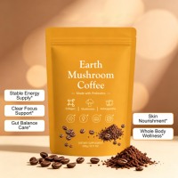 Poudre de café aux champignons avec prébiotiques, collagène et Ashwagandha – Complément alimentaire OEM, marque privée, vente en gros