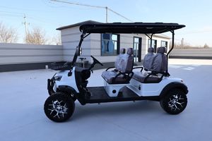 Carrito de <span class=keywords><strong>Golf</strong></span> Eléctrico Profesional Personalizado de 4 Plazas con Batería de Litio para Complejos Turísticos, Campos de <span class=keywords><strong>Golf</strong></span> y Comunidades - Product Image 2