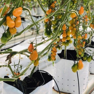 Soldes Exceptionnelles : Sac de Culture Réutilisable en Fibres Végétales de 7 Gallons avec Poignée et Fenêtre de Récolte pour Légumes, Fruits et Fleurs - Product Image 3