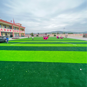 <span class=keywords><strong>Semillas</strong></span> de Césped Natural de la Mejor Calidad y Durabilidad para Canchas de Fútbol, Césped Artificial Sintético Fácil de Instalar - Product Image 5