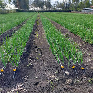 Agrcola Sistema Riego Por Goteo 16 мм Manguera Precio De Cinta De Riego Tubo De Rega Gota a Gota Cinta Por Goteo - Product Image 3