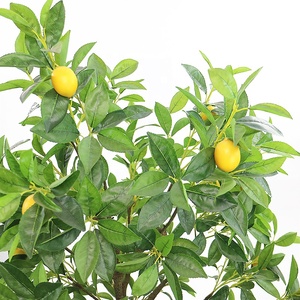 Limonero de plástico para decoración de interiores <span class=keywords><strong>con</strong></span> maceta de plástico - Product Image 2