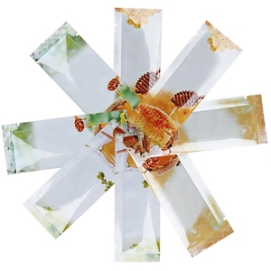Materiale di Imballaggio in Pellicola Plastica per Sacchetti di Miele Naturale Reale Indiano - Product Image 3