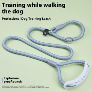 Anti Pull Dog Training Chain Leash Thickened All in One P <b>Rope</b> Leash for Small Medium and Large Dogs - Product Image 2