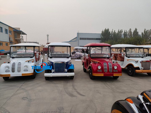 2025 Custom 8 11 14 Seat Electric Classic Car Venta caliente al Aire Libre Verde Vintage para <span class=keywords><strong>VW</strong></span> Car From China Factory Enjoliver Price - Product Image 4