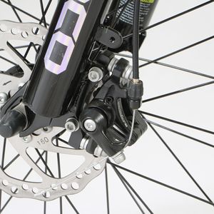 Véhicule électrique au Lithium de neige nouveau modèle gros pneu 20 pouces 7 vitesses 220 KG 45-50 km/h 48V 500W VTT électrique au Lithium - Product Image 4