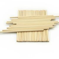 Bâtonnets de crème glacée jetables en bois de bouleau naturel, biodégradables, écologiques, économiques, pour café