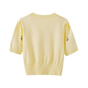 <span class=keywords><strong>Dalan</strong></span> Knitwear's Summer Slim Ice Silk T-Shirt para mujer bordado estilo coreano cintura alta corto nuevo Top de manga corta - Product Image 5
