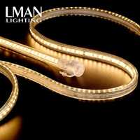 Ruban LED flexible haute luminosité 8 mm, connexion mâle-femelle, revêtement PVC, étanche IP65, SMD2835, AC220V, télécommande, intensité variable