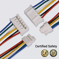 Kabel Pitch Kustom 1.0mm-2.54mm Konektor 2/3/4/5/6 Pin Plug Nylon Female JST SH ZH PH XH untuk Kabel Listrik dan Harness Kabel