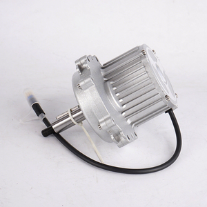 Motor de CC permanente sin escobillas Biote de 250W de alto torque, 48/60/72V, 120 RPM, garantía China para triciclos y scooters motorizados - Product Image 5
