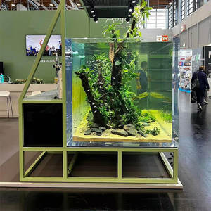 Peceras acrílicas personalizadas de fábrica, perfectas para impresionantes exhibiciones de Vida Marina - Product Image 5