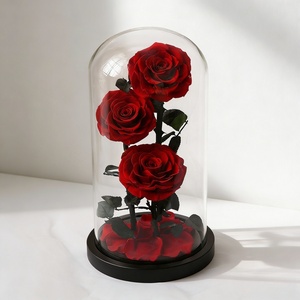 Rose éternelle sous cloche en verre, plusieurs tailles, cadeau pour la Saint-Valentin, Noë<span class=keywords><strong>l</strong></span>, décoration d'intérieur, ornement, directement <span class=keywords><strong>de</strong></span> <span class=keywords><strong>l</strong></span>'usine - Product Image 2