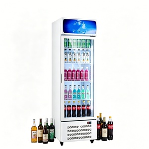 Réfrigérateur professionnel vertical à porte unique pour boissons, avec refroidissement par ventilateur et tubes en cuivre, idéal pour les magasins de proximité - Product Image 3