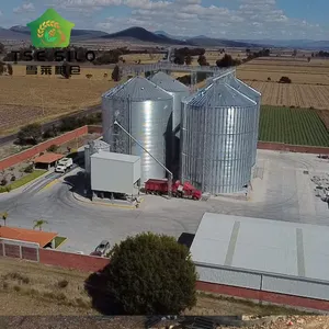 Large Volume Grain Storage Flat Bottom Silo For Poultry Farm