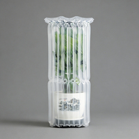 Emballage d'expédition personnalisé pour articles fragiles, sac gonflable antichoc à colonnes d'air pour vase en céramique, verre, pot, film de protection en plastique PE