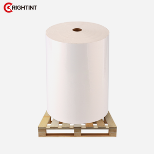 Membrana Impermeable Acrílica Activada por Agua en Rollo Jumbo, Termofusible para Impresoras Flexográficas <span class=keywords><strong>Españolas</strong></span> - Material de Vinilo BOPP, Grosor de 50 Micras - Product Image 3