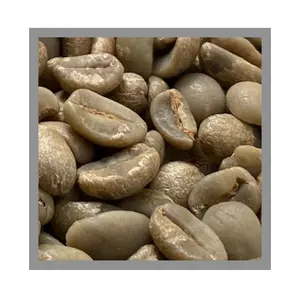 Arabica Catimor Fast Delivery Ground Coffee Beans Customized Logo Agricultural Made In Vietnamese Manufacturer