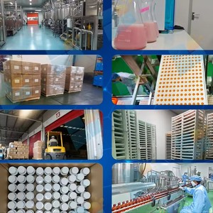 Aeglewell OEM Marque Privée Bandes <span class=keywords><strong>de</strong></span> Film Oral Dissolvant à Prix <span class=keywords><strong>de</strong></span> Gros pour l'Exportation – Complément Énergétique en Bandes Orales à Succès Commercial - Product Image 4