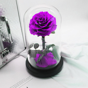 Roses éternelles dans un verre, Saint-Valentin, fête des mères, fleurs préservées éternelles, roses éternelles dans un dôme en verre, cadeau LED - Product Image 4