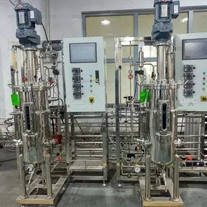 Airlift <strong>Fermenter</strong> <strong>Bioreactor</strong> Industrial Stainless Steel Pilot <strong>Bioreactor</strong> With Automatic Control System - Product Image 5