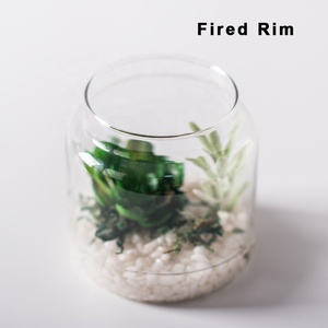 Petit pot de plantes de terrarium <span class=keywords><strong>en</strong></span> verre <span class=keywords><strong>fermé</strong></span> avec couvercle de 4x5.5 pouces pour plantes succulentes, mousse, piège à mouches de Vénus et écosystèmes autonomes - Product Image 5