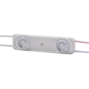 <b>LED</b> Sign Module IP65 IP67 12V 2835SMD 1.5W 2LEDs Injection Type for Advertising Sign and Light Box Use - Product Image 1