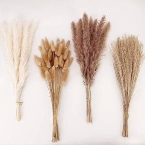 Petit bouquet de fleurs séchées, herbe de la queue de lapin, herbe de la <span class=keywords><strong>pampa</strong></span>, style bohème écologique, pour usage intérieur, cadeaux d'affaires, fleurs - Product Image 2