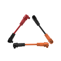 FPIC IP67 200A Cable de Alimentación de Alta Corriente para Almacenamiento de Energía de Alta Tensión, Arnés de Cables con Aislamiento de PVC para Electrónica