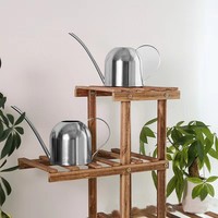 Arrosoir d'intérieur personnalisé en acier inoxydable de 1000 ml, arrosoir en métal pour plantes d'intérieur