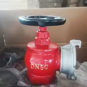 Idrante antincendio in ghisa da 2,5 pollici per interni, DN50 DN65, con doppia uscita e valvola angolare russa, a prezzo di fabbrica - Product Image 3