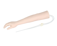 Maniquí de brazo de inyección intravenosa de silicona modelo anatómico para Educación de Ciencias Médicas en las escuelas