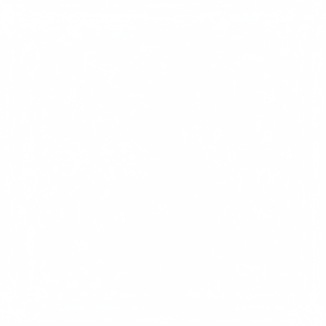 Poudre de feuilles de céleri diététique et thé | Feuilles de céleri séchées naturelles pour un assaisonnement savoureux | Produits biologiques de qualité supérieure - Product Image 1