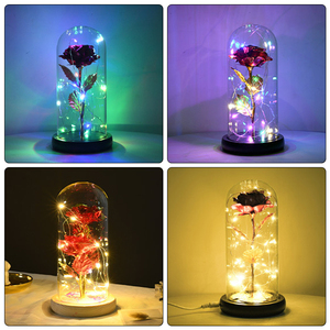Hadiah Hari Valentine kustom kubah mawar bunga kering lampu Wanita plastik hadiah mawar dengan kotak - Product Image 5