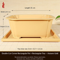Bac à eau rectangulaire + Pot de culture pour succulentes en résine écologique style chinois avec contrôle des racines et trou de drainage pour usage en intérieur
