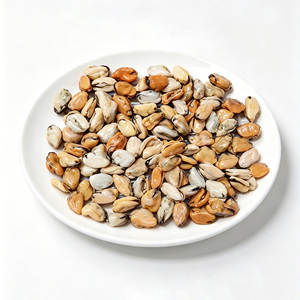<span class=keywords><strong>Precio</strong></span> al por mayor Carne de mejillón verde congelada IQF Suministro de fábrica de mariscos de China - Product Image 1