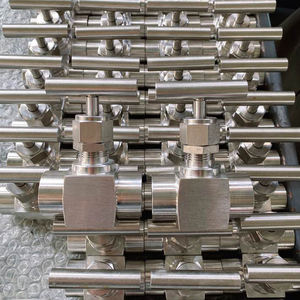 Valvola a Spillo ad Alta Pressione in Acciaio Inox SS304/SS316L per Montaggio su Pannello, 3000PSI 6000PSI 10000PSI, BSP o NPT - Product Image 5