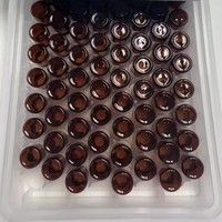 Flacons en verre pharmaceutique RTU de 2 ml, stérilisés, en borosilicate