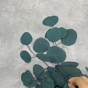 Venta al por mayor directa de fábrica, oferta para decoración de boda, plantas en conserva para siempre, follaje de <span class=keywords><strong>hojas</strong></span> de <span class=keywords><strong>eucalipto</strong></span> - Product Image 6