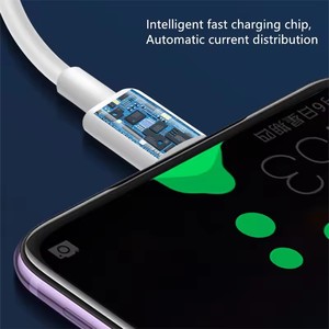 Cavo Dati USB Bianco Stabile a 8 Cavi per C-am Os-am ICam Sk-y Germania, per Germania, Polonia, Slovacchia e Paesi UE - Product Image 3