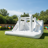 Château Gonflable Commercial Double Toboggan pour Mariages, en PVC Écologique, Utilisation Intérieure/Extérieure, pour Enfants - Grande Vente