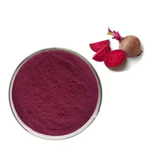 New Batch Bio-Rote-Bete-Pulver mit natürlichem, hochwertigem Bio-Pulver Heiß verkaufendes Rote-Bete-Pulver