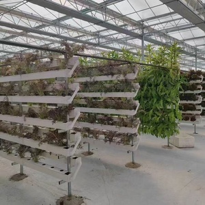 Năng suất cao phát triển dọc nft ống trong nhà hidroponic nấm phát triển thiết bị thủy lợi nft hệ thống thủy canh - Product Image 1