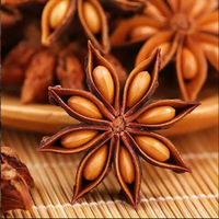 Venta al por mayor de anís estrellado, Chakraphool seco, semillas tamizadas de anís estrellado orgánico, anís estrellado de China, especias individuales de alta calidad