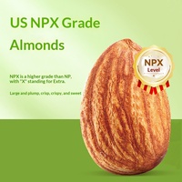 Nueces de Almendro de Walonia, 300g, Sin Cáscara, Originales de Shandong, Refrigerio Enlatado, Fruta Seca, Paquete Pequeño