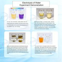 Machine à eau Kangen du Japon, ioniseur d'eau alcaline, filtre domestique, prise US, eau alcaline pH 2.8-13.2