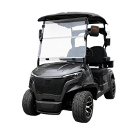 Voiturette de golf électrique 2 places tout-terrain, buggy à batterie lithium, voiturette de golf personnalisée pour parcours de golf et complexe hôtelier