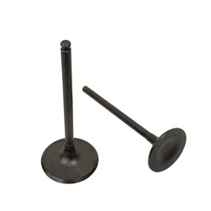 Soupape de moteur de moto en gros, soupape d'admission et d'échappement de moteur de moto adaptée aux modèles Hunk190, Xpulse200, 200t, M04050001, ECO150 - Product Image 1
