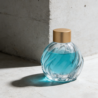 Bouteille diffuseur à roseaux en verre en gros, prix usine, 100 ml, bouteille d'aromathérapie haut de gamme vide et transparente pour diffuseur à roseaux